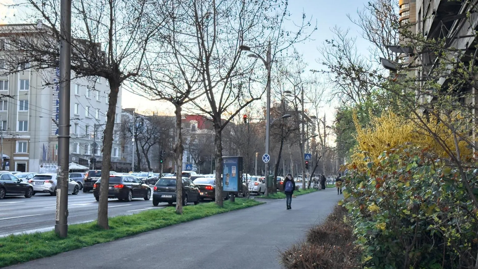 Central Retreat Apartments Bucharest Romania